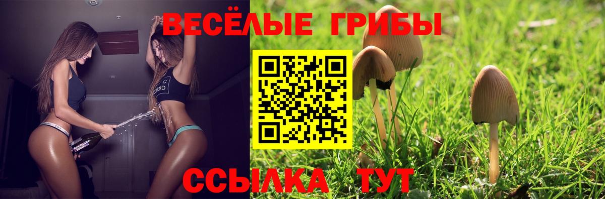 купить наркоту  Галлюциногенные грибы мухоморы  Вход с VPN  Шарыпово 