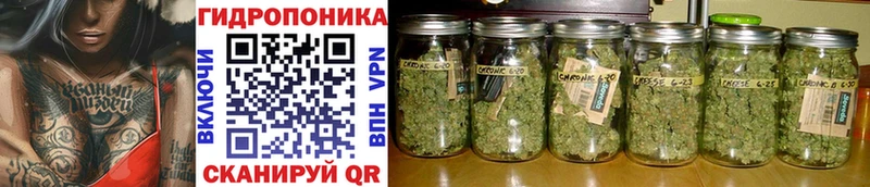 где купить наркотик Шарыпово Бошки марихуана ГИДРОПОН